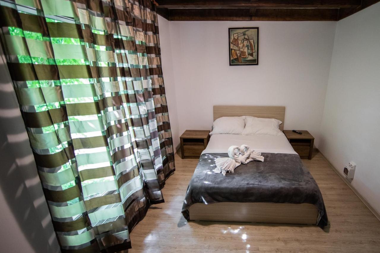 Casa Arcadia 1 Piscina,Jacuzzi, Sauna Bodzavásár Kültér fotó