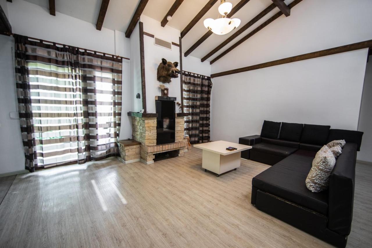 Casa Arcadia 1 Piscina,Jacuzzi, Sauna Bodzavásár Kültér fotó