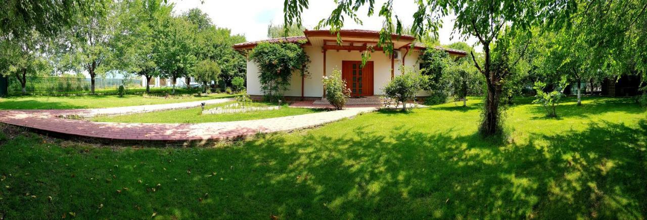 Casa Arcadia 1 Piscina,Jacuzzi, Sauna Bodzavásár Kültér fotó